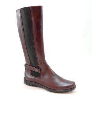 Gallucci 1274