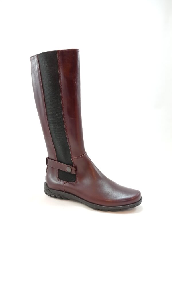 Gallucci 1274