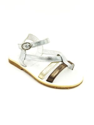 Dolce Gabbana L64591 OLG37