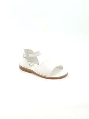 Gallucci 269W